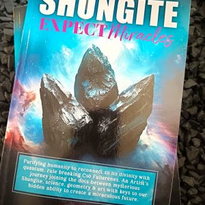 BOOK-SHUNGITE:Expect Miracles (Digital Download) Inspiring Information, Transformations & More!