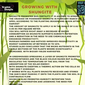 GROWING WITH SHUNGITE (Digital Download) Inspiring Information.